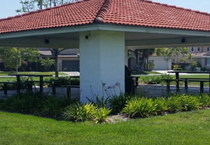 Landscaping - New Generation Construction